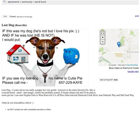 Roseville craigslist pets. Things To Know About Roseville craigslist pets. 
